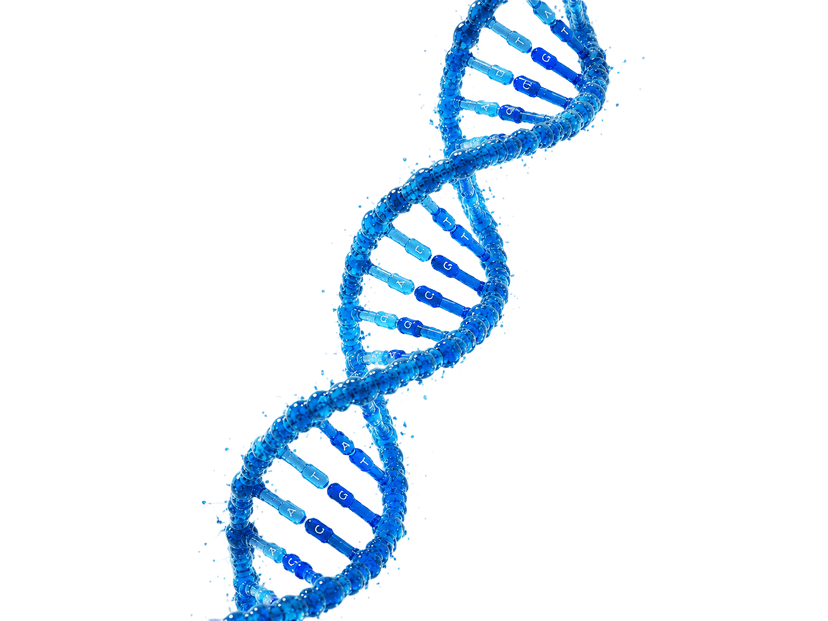 Biomedical DNA Strand